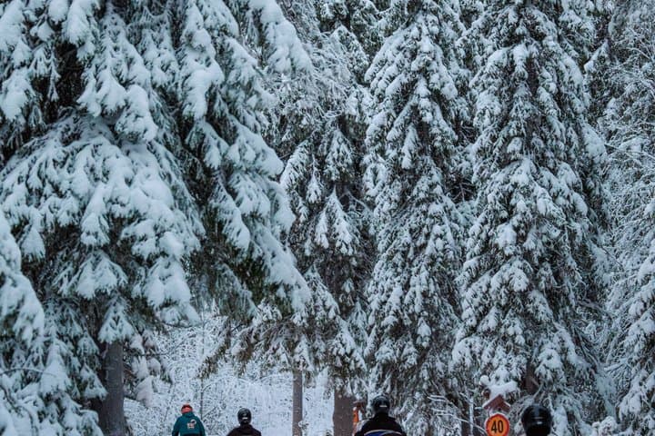Taste of Snowmobiling for Adults