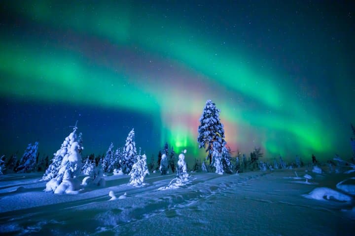 Private Evening Snowmobile Safari with Aurora Spotting
