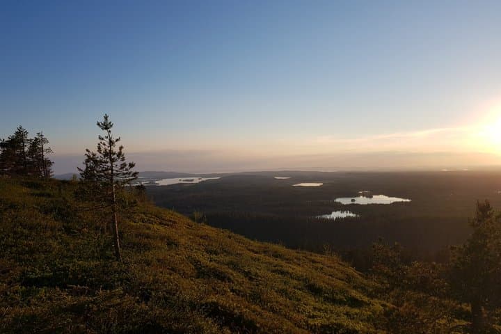 Midnight Sun Picnic in Riisitunturi - Private