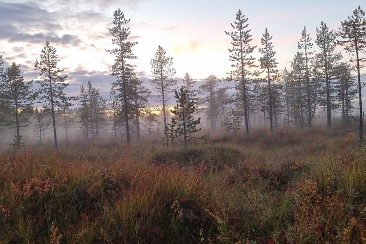 Hike in Northern Oulanka National Park - private tour