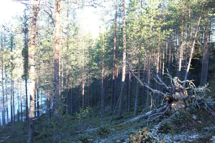 Hossa National Park Day Trip Private Tour