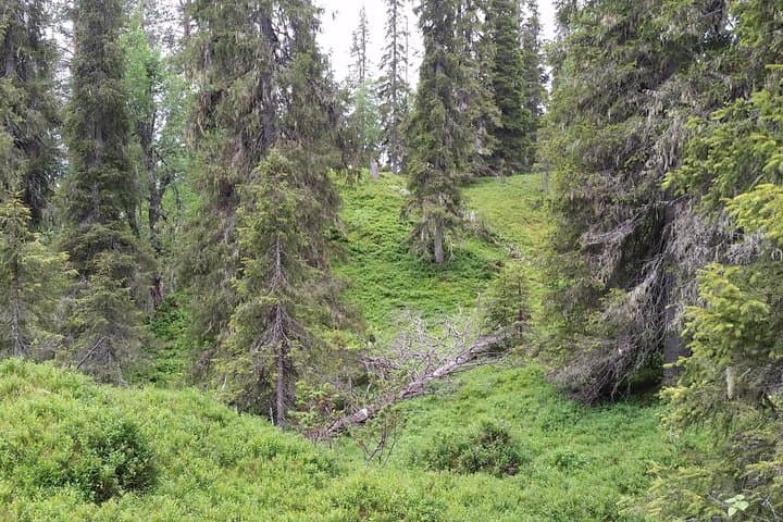 Hossa National Park Day Trip Private Tour