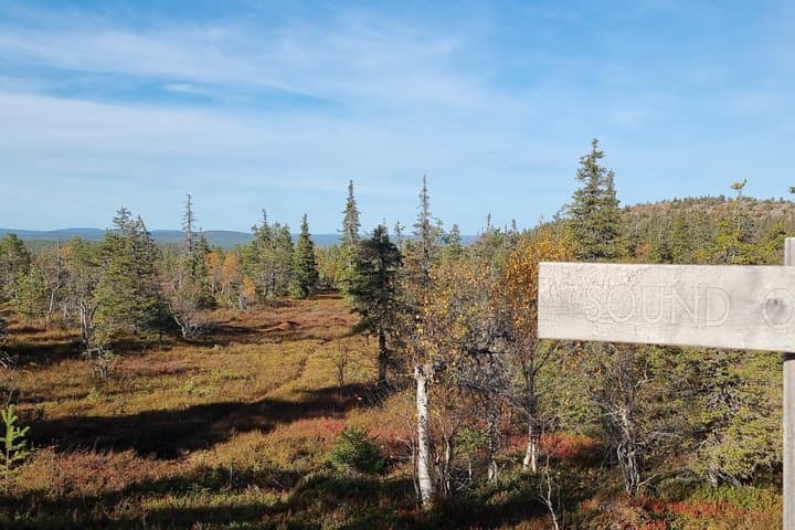 Day Hike in Salla National Park from Ruka-Kuusamo