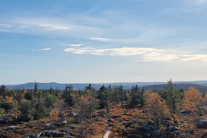 Day Hike in Salla National Park from Ruka-Kuusamo