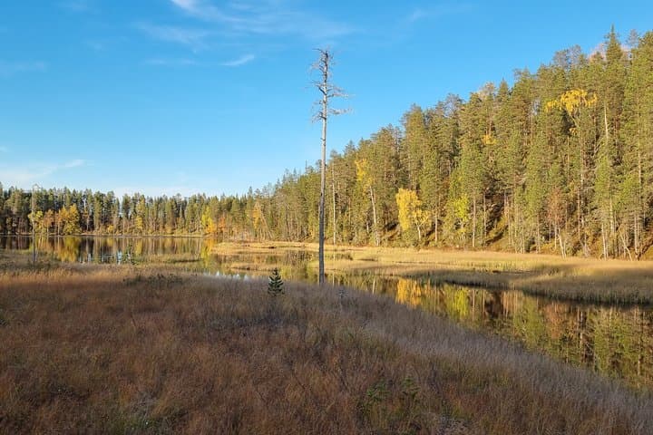 Day Hike in Salla National Park from Ruka-Kuusamo