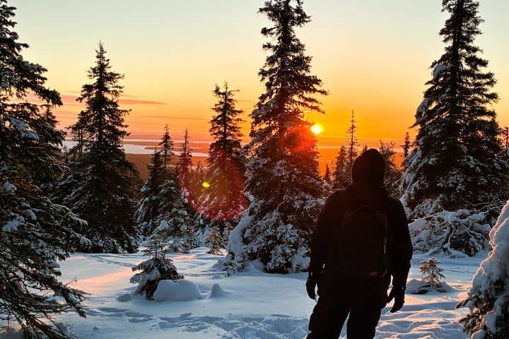 Riisitunturi National Park Car Tour from Rovaniemi