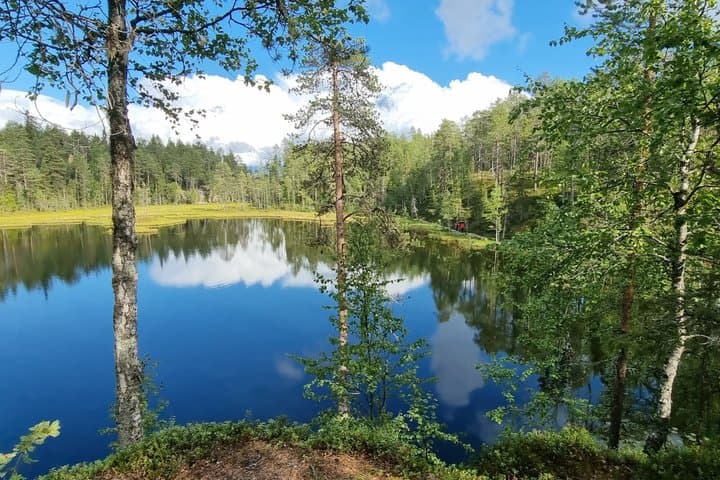 Pieni Karhunkierros Little Bear's Trail Guided Hike in Oulanka