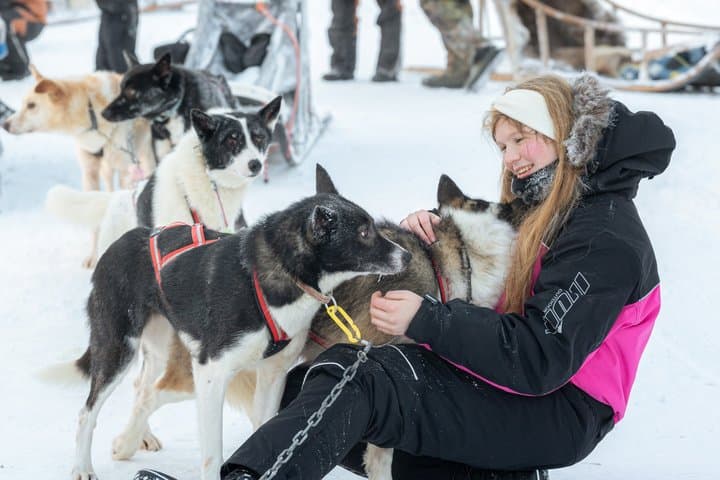 Rovaniemi Insider: 10 km Husky Self‑Drive Adventure