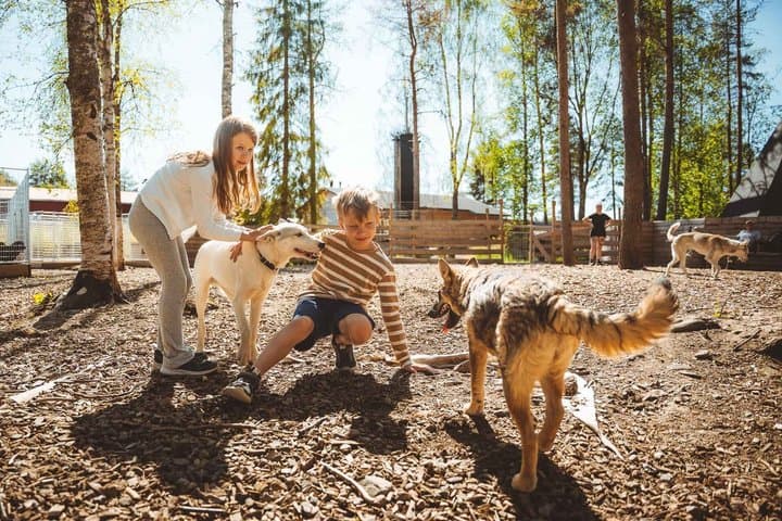 Husky Farm Visit in Rovaniemi
