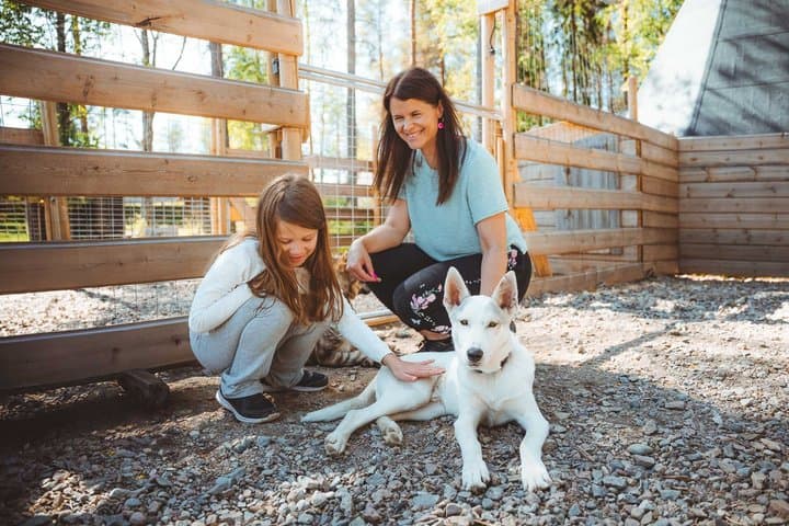 Husky Farm Visit in Rovaniemi