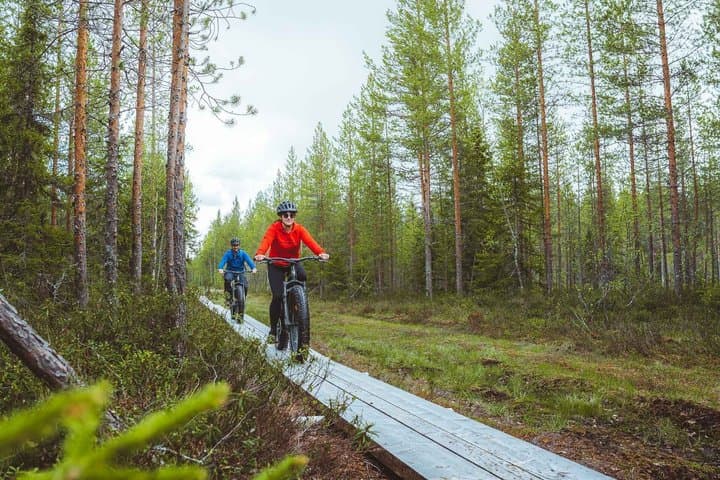 Exploring Nature with eFatbike in Rovaniemi, 3 hours