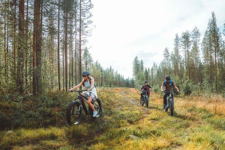 Exploring Nature with eFatbike in Rovaniemi, 3 hours