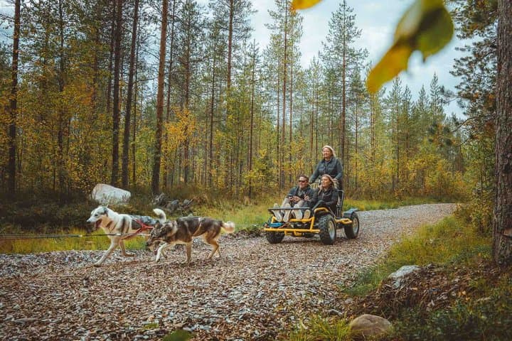 Autumn Husky Ride on Wheels, Apukka Resort Rovaniemi