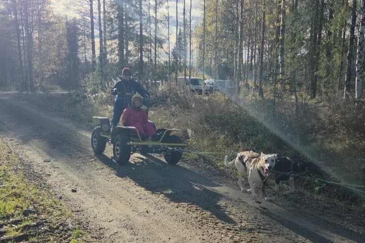 Husky kennel Visit with Wagon or Sled Ride