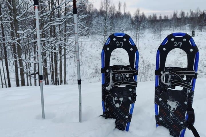 Snowshoeing Experience Explore the Silent Arctic Forest Rovaniem