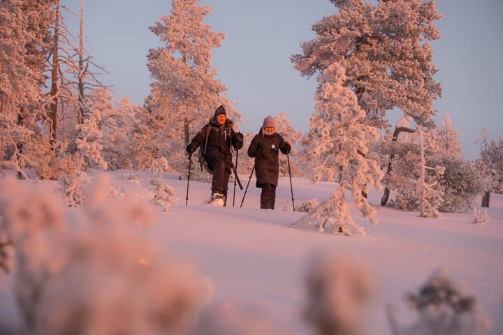 Snowshoeing Experience Explore the Silent Arctic Forest Rovaniem