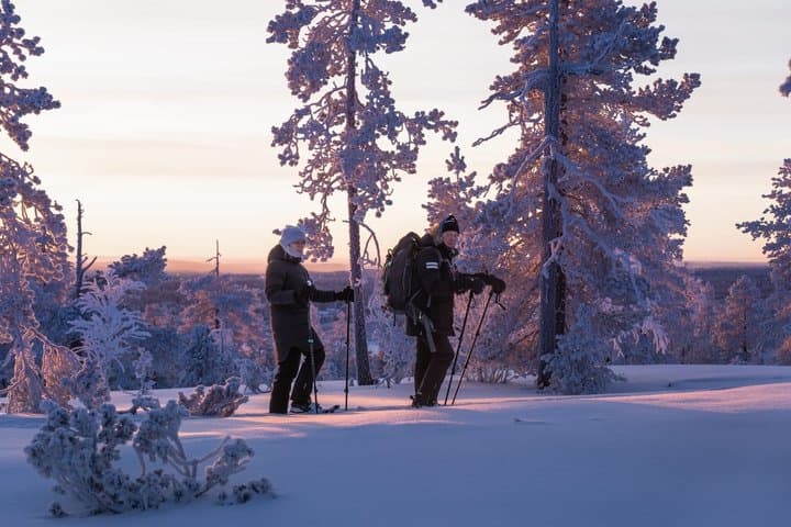 Snowshoeing Experience Explore the Silent Arctic Forest Rovaniem
