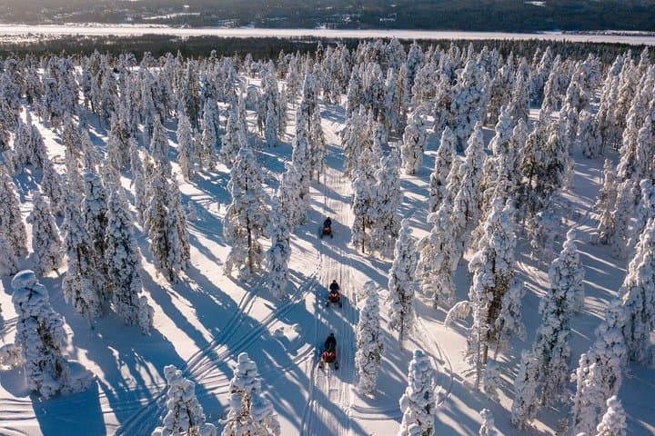 6 Hour Snowmobile Safari with Lunch in Levi