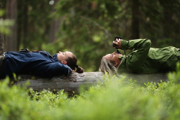 Multiday Walking Tour in Finland National Parks