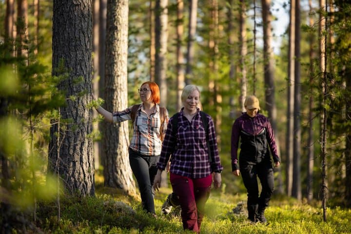 Multiday Walking Tour in Finland National Parks