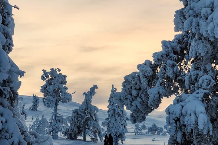 Snowshoeing Tour in Ylläs to Kesänki Fell