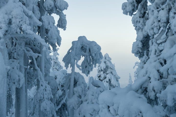 Snowshoeing Tour in Ylläs to Kesänki Fell