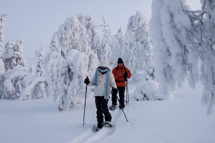 Snowshoeing Tour in Ylläs to Kesänki Fell