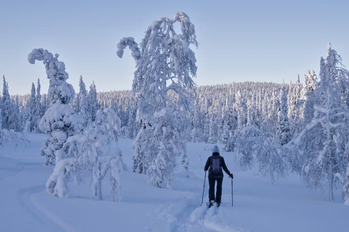 Backcountry Skiing Tour in Ylläs Wilderness