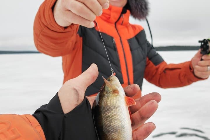Discover Arctic Ice Fishing in Rovaniemi