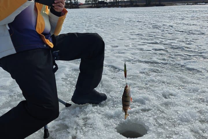 Discover Arctic Ice Fishing in Rovaniemi