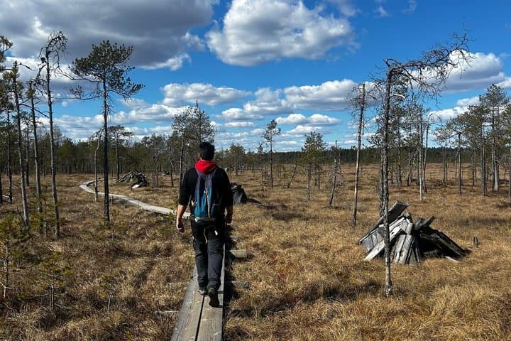 Full-Day Hike in Torronsuo’s Wild Bog from Helsinki
