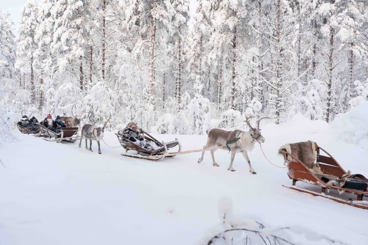 Reindeer and Huskies Sled Ride Combo with Professional Photos