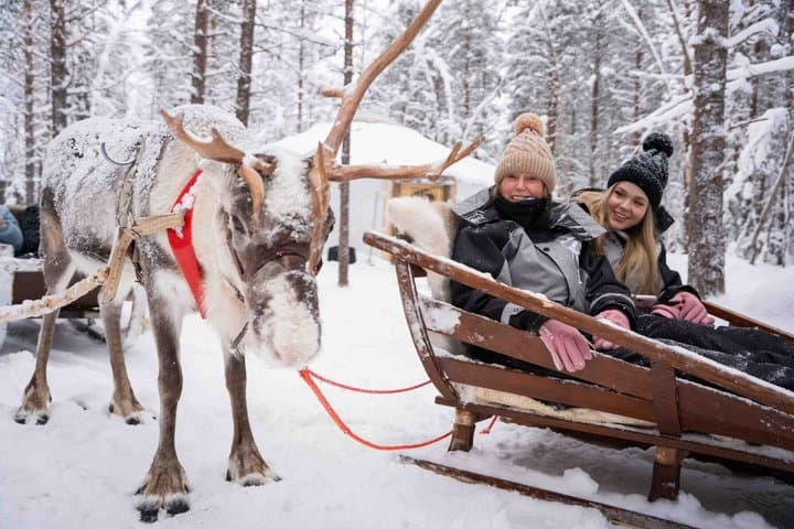 Reindeer and Huskies Sled Ride Combo with Professional Photos