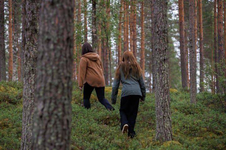 Embrace the Forest: Guided Nature Experience