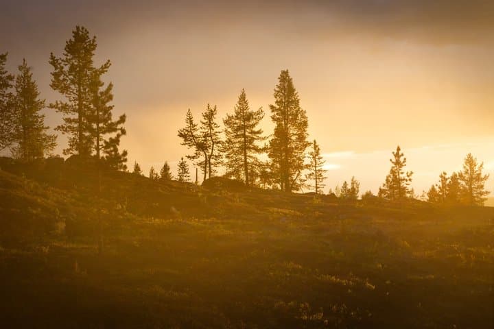 Rovaniemi Midnight Sun Instagram Tour to Kings Lean to Lookout