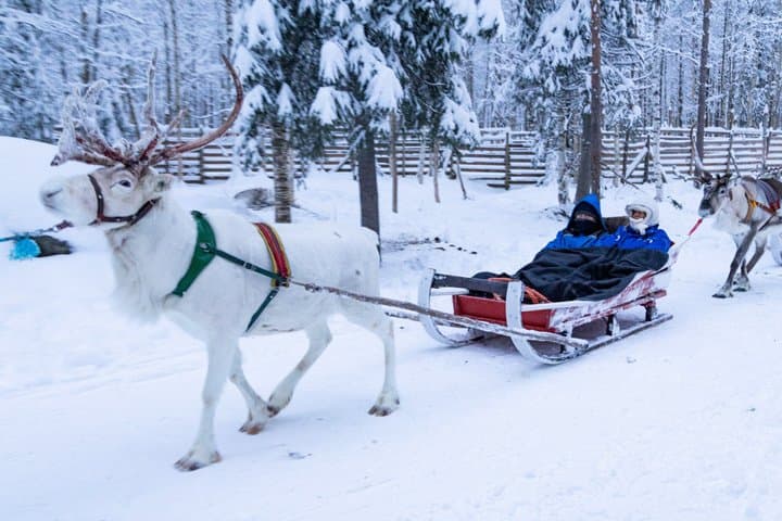 Active Family Adventure in Rovaniemi