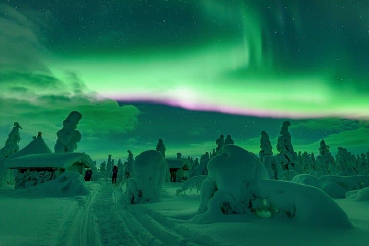 Northern Lights Hunt Arctic Wonders Up to 2 Hours