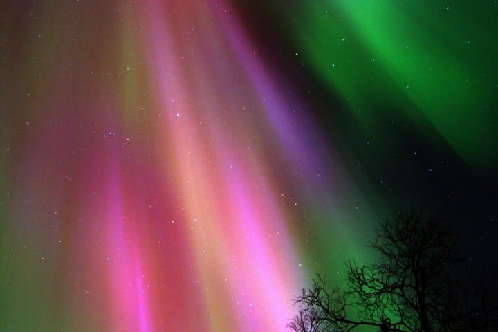 Northern Lights Hunt Arctic Wonders Up to 2 Hours