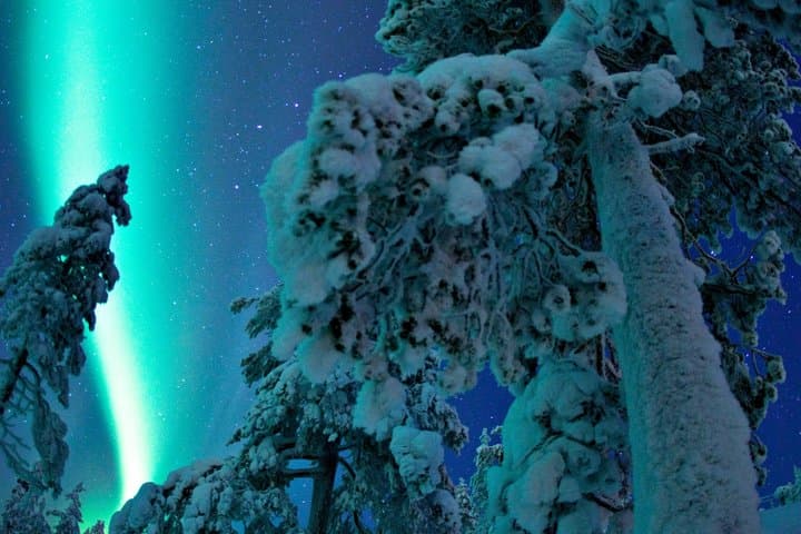 Northern Lights Hunt Arctic Wonders Up to 2 Hours