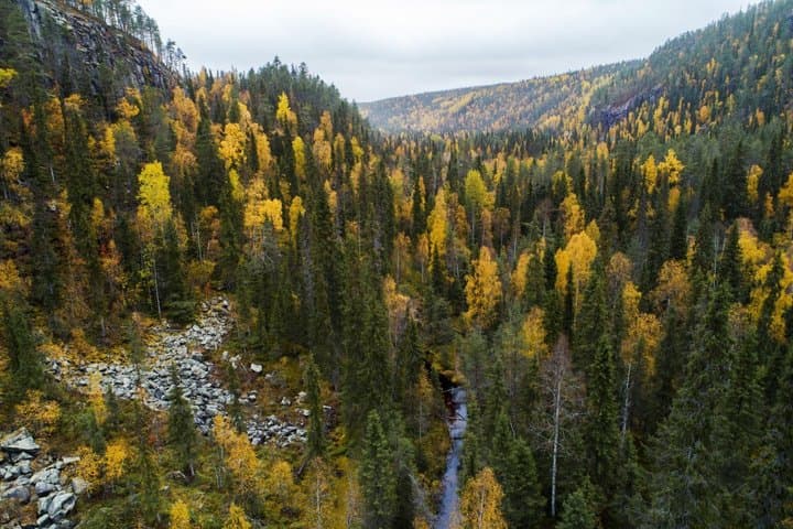 Korouoma Canyon & Auttiköngäs Summer, Autumn & Winter Hike + BBQ
