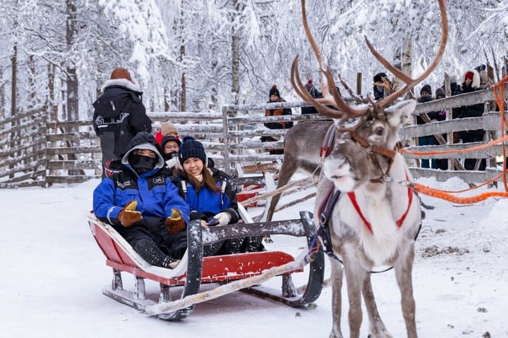 Reindeer Farm Visit with Reindeer Safari - Saariselkä