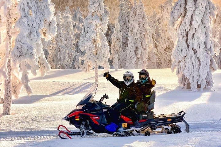 Rovaniemi: Snowmobile Wilderness Tour, Small Group & Local Guide