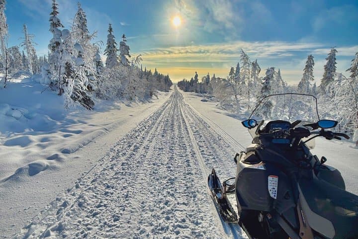 Rovaniemi: Snowmobile Wilderness Tour, Small Group & Local Guide