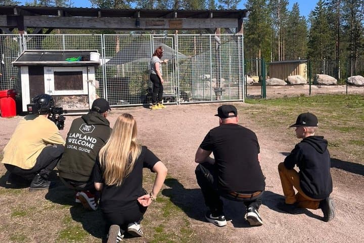 Husky Summer Adventure: Kennel Visit and Husky Ride - Rovaniemi