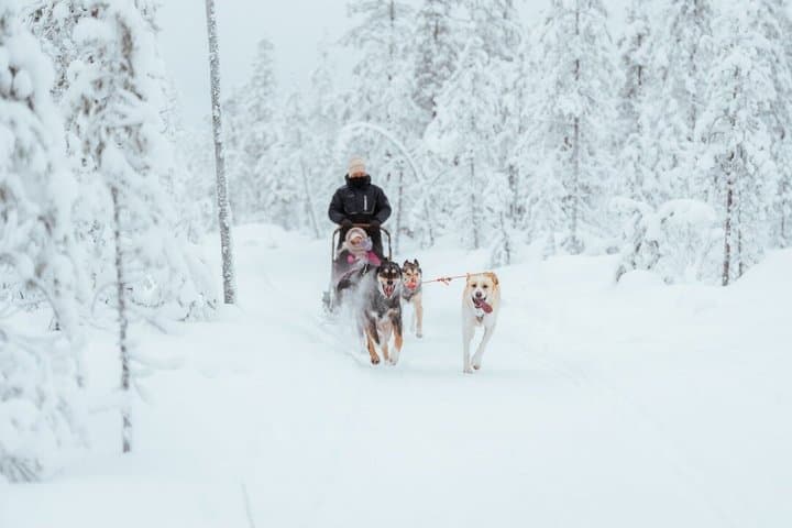 Rovaniemi: Insider Bucket List Adventure