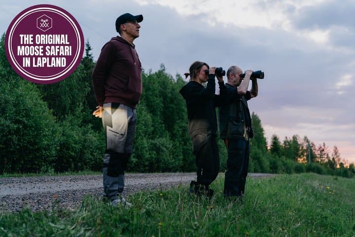 Moose Safari with Experienced Local Guide - Rovaniemi