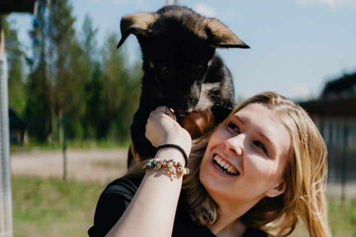 Husky Summer Adventure: Kennel Visit and Husky Ride - Rovaniemi