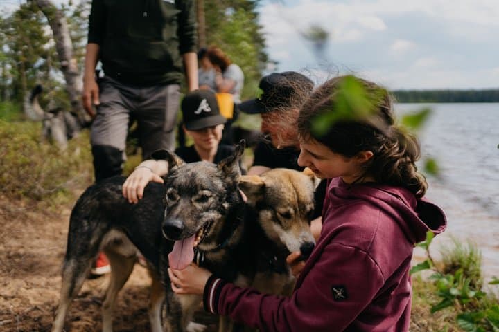 Husky Summer Adventure: Kennel Visit and Husky Ride - Rovaniemi