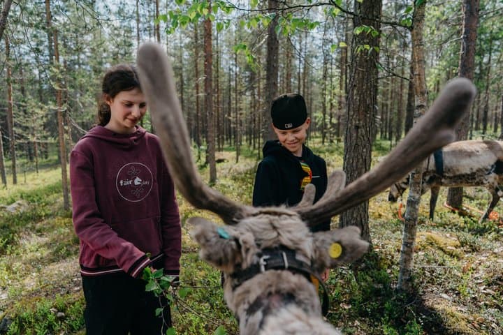 Arctic Reindeer Hike Experience - Rovaniemi