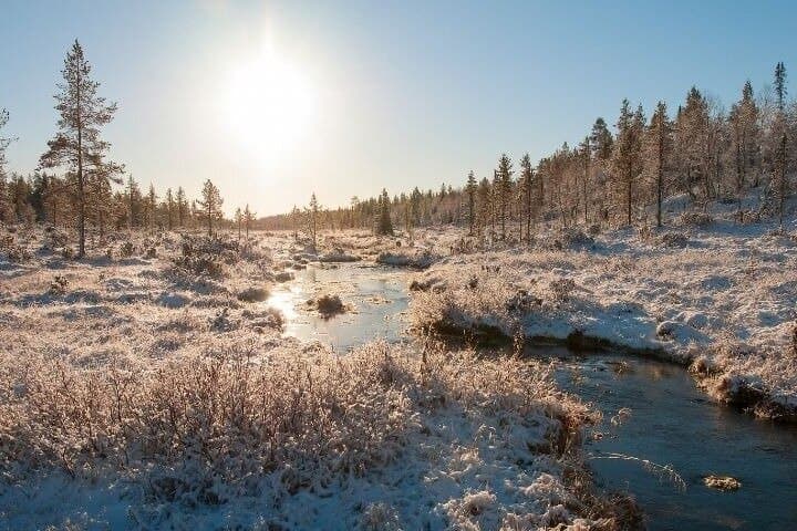 Levi to Rovaniemi Family Adventure Transfer with Guided Tour